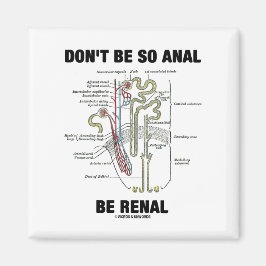 Var inte så anal be Renal (Nephron från njurarna) Magnet