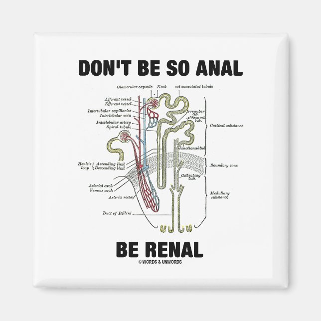 Var inte så anal be Renal (Nephron från njurarna) Magnet (Framsidan)