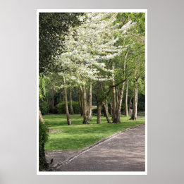 Vår Irland Poster