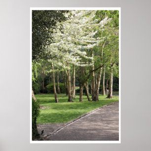 Vår Irland Poster