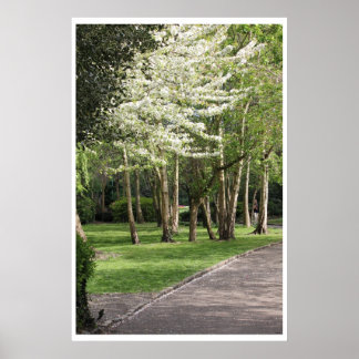 Vår Irland Poster