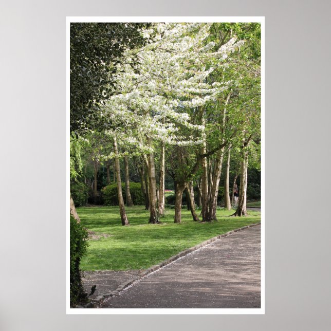 Vår Irland Poster (Framsidan)