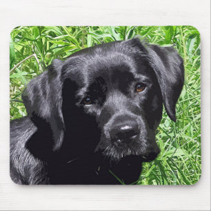 Vår Joy - Labrador Retriever - Svart lab Musmatta