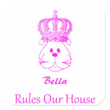 Vår kammarruta på Hund-Regler är fäst