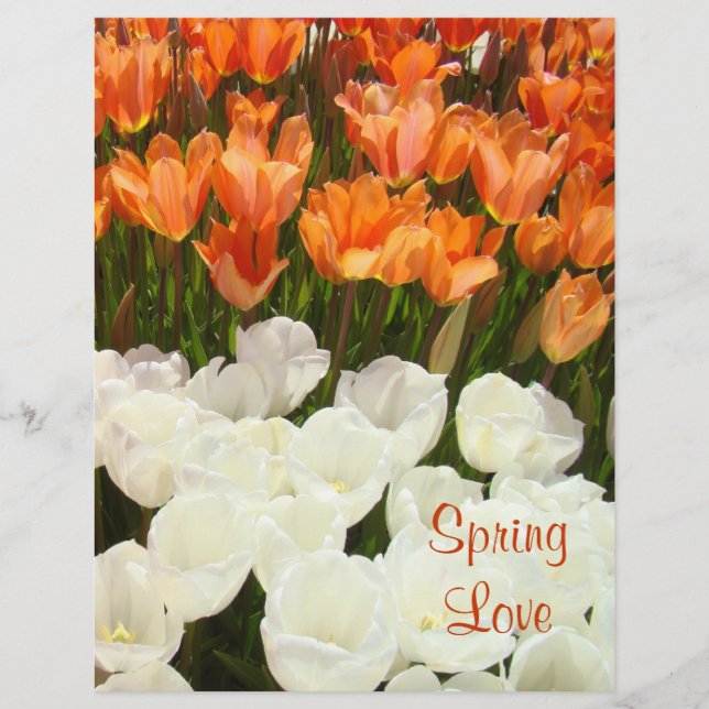 Vår kärlek Scrapbook papper Tulpan Blommor (Framsida)