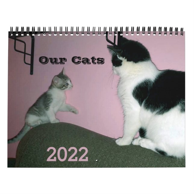 Vår katteskalender för 2022-Personligen Kalender (Omslag)