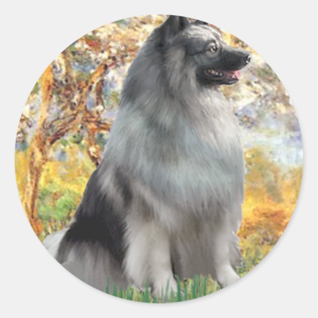 Vår - Keeshond Runt Klistermärke (Framsida)