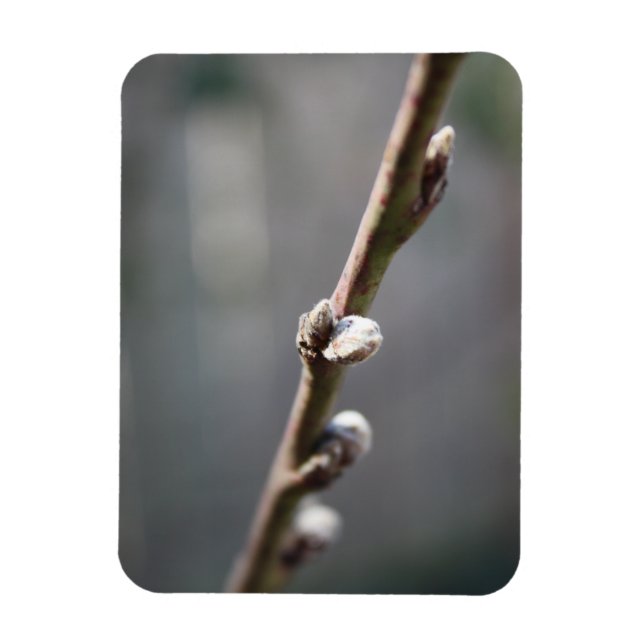 Vår kommer magnet (Vertikal)