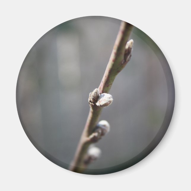 Vår kommer magnet (Framsidan)