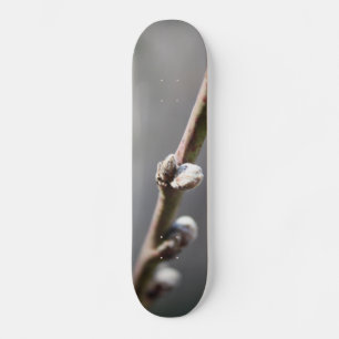 Vår kommer old school skateboard bräda 18 cm