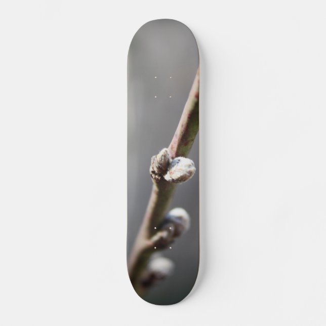 Vår kommer old school skateboard bräda 18 cm (Framsida)