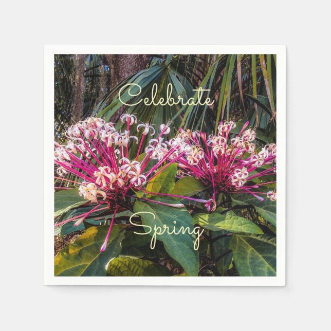 Vår kommer. Pappersservett (Framsidan)