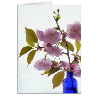 vår körsbär OBS kort