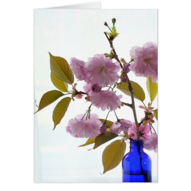 vår körsbär OBS kort (Framsidan)