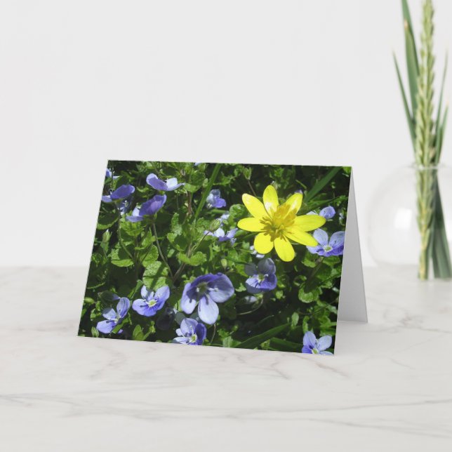 Vår Kort (Framsida)