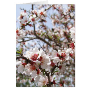 Vår-kort för blomma Blommar Hälsningskort