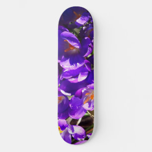 VÅR KROCUS MINI SKATEBOARD BRÄDA 18,5 CM