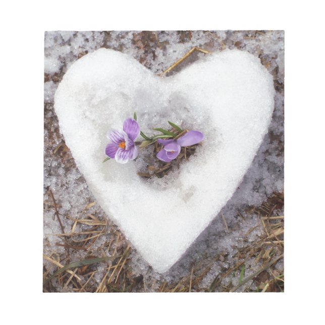 Vår-krokus i snö-hjärtfoto anteckningsblock (Framsida)