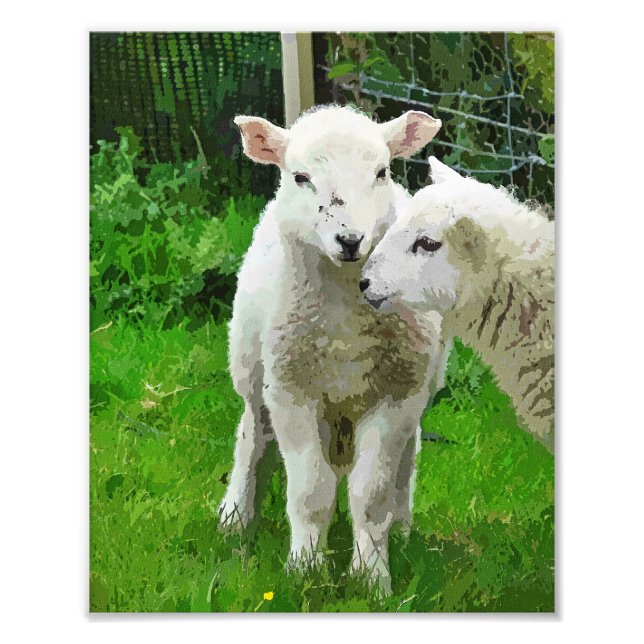 VÅR LAMBS FOTOTRYCK (Framsidan)