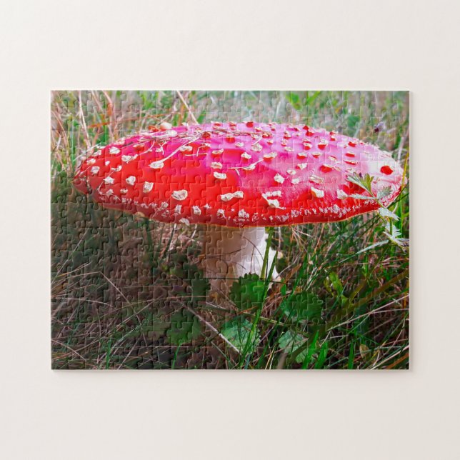 Var Leprechaunsar eller var de små bor. Pussel (Horisontell)