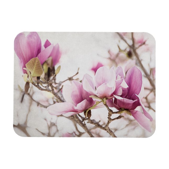 Vår ligger i Luft Magnet (Horisontell)