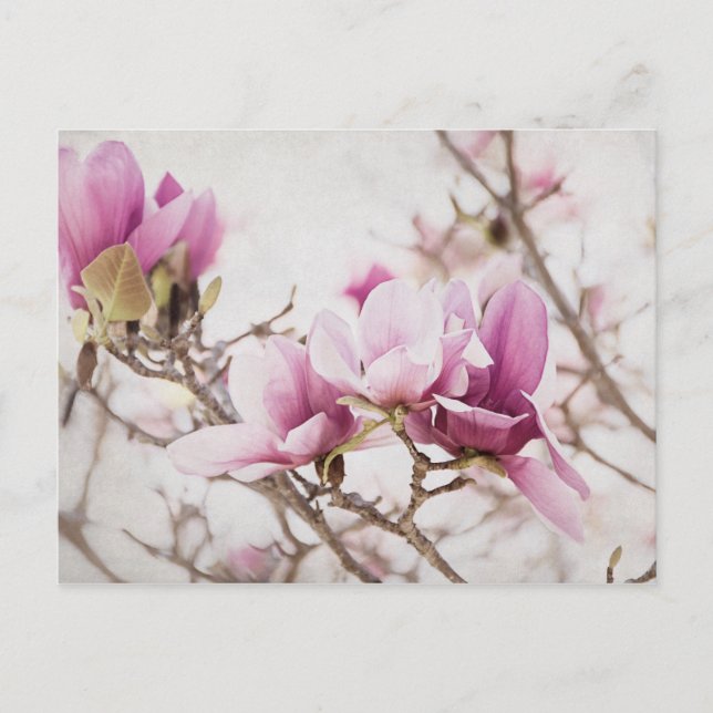 Vår ligger i Luft Vykort (Framsida)