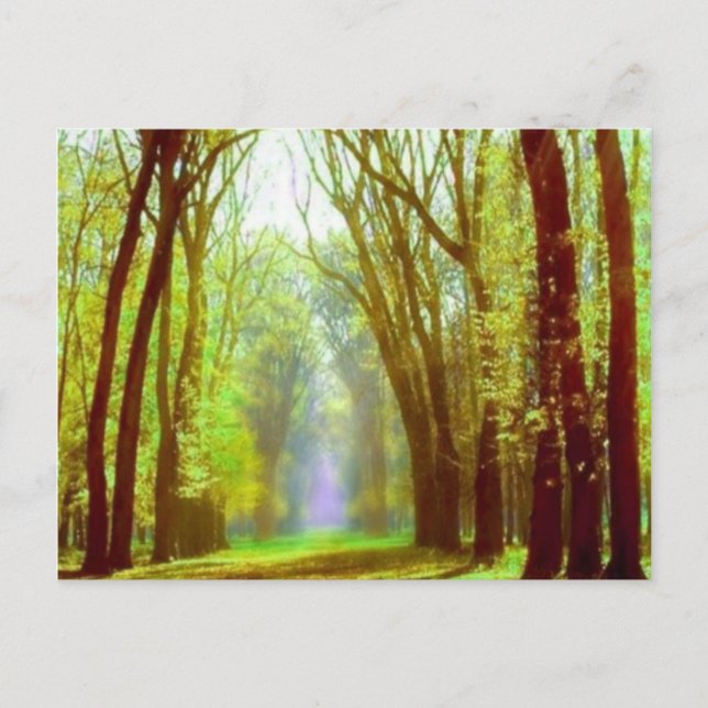 Vår Light Vykort (Framsida)