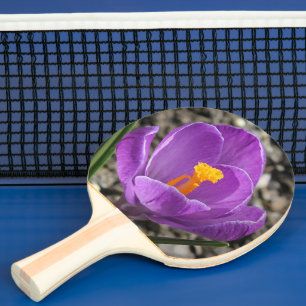Vår Lila Crocus Flower Photo 2-sidig utskrift Pingisracket