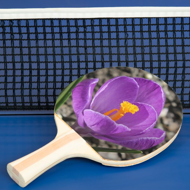 Vår Lila Crocus Flower Photo 2-sidig utskrift Pingisracket (Insitu)