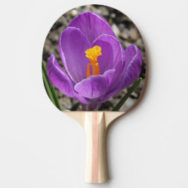 Vår Lila Crocus Flower Photo 2-sidig utskrift Pingisracket