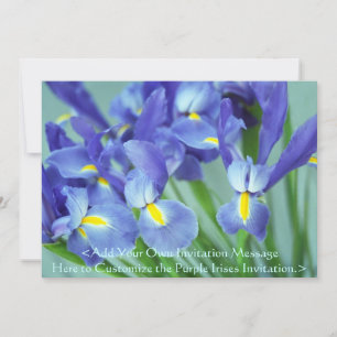 Vår Lila Irises Flower Art Photo Investigation Inbjudningar