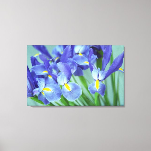 Vår Lila Irises Flower Photo Canvas Art Skriv ut (Framsida)