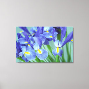 Vår Lila Irises Flower Photo Canvas Art Skriv ut