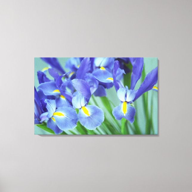 Vår Lila Irises Flower Photo Canvas Art Skriv ut (Framsida)
