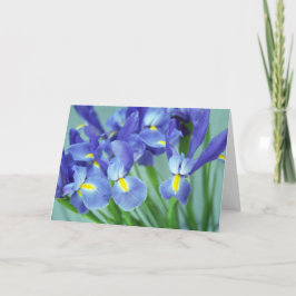 Vår Lila Irises Photo Art Greeting Card Kort