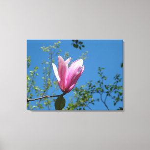 vår lila magnolia blomma i blå himmel. canvastryck