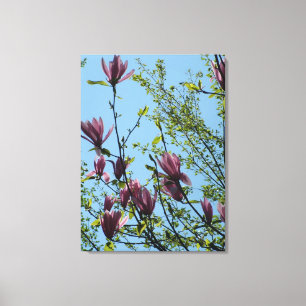 vår lila magnolia blommor i blå himmel. canvastryck