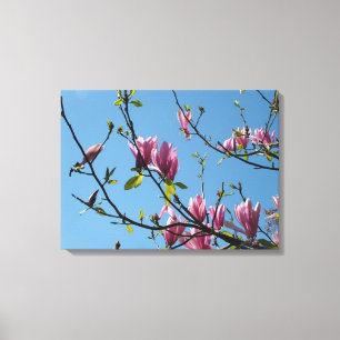 vår lila magnolia-blommor i blå himmel canvastryck