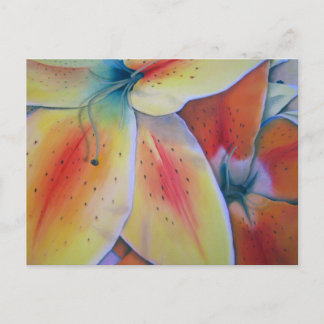 Vår Lilies vykort