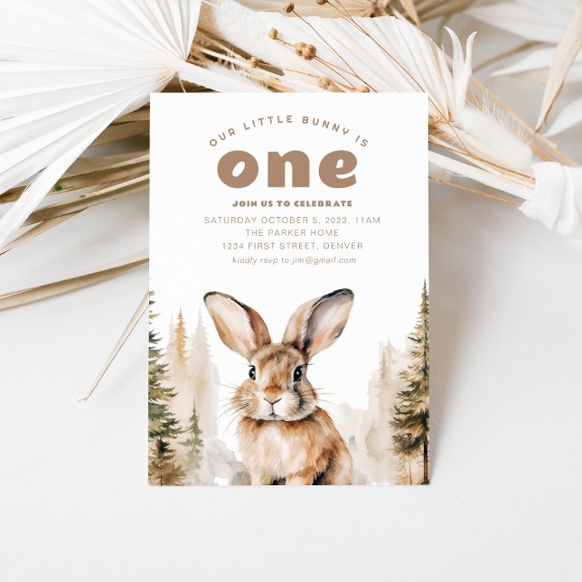 Vår lilla bunt är en första födelsedag Inbjudan (Skapare uppladdad)