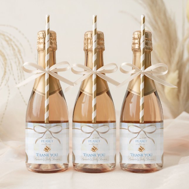 Vår lilla jordnöt Pojken Blue Rutiga Baby Shower (Skapare uppladdad)
