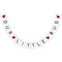 Vår lilla kryp-banderoll, ladybug-banderoll, födel