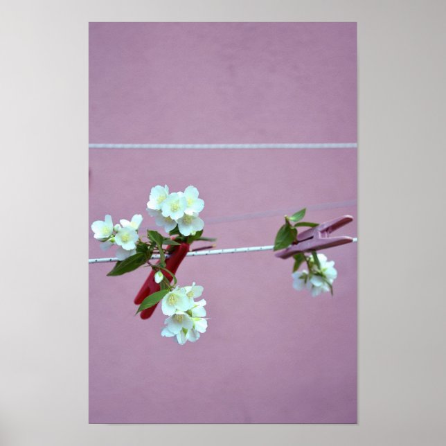 Vår Line Poster (Framsidan)