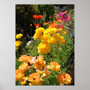 Vår Lökar Cottage Garden Blommigt Flowers Poster
