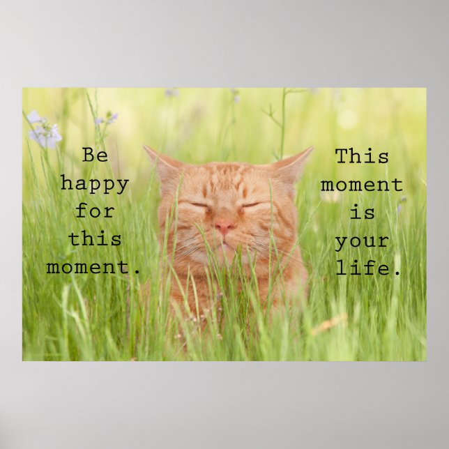 Var Lycklig för tillfället Poster (Framsidan)