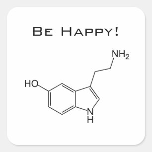 Var lycklig! Serotoninklistermärke Fyrkantigt Klistermärke