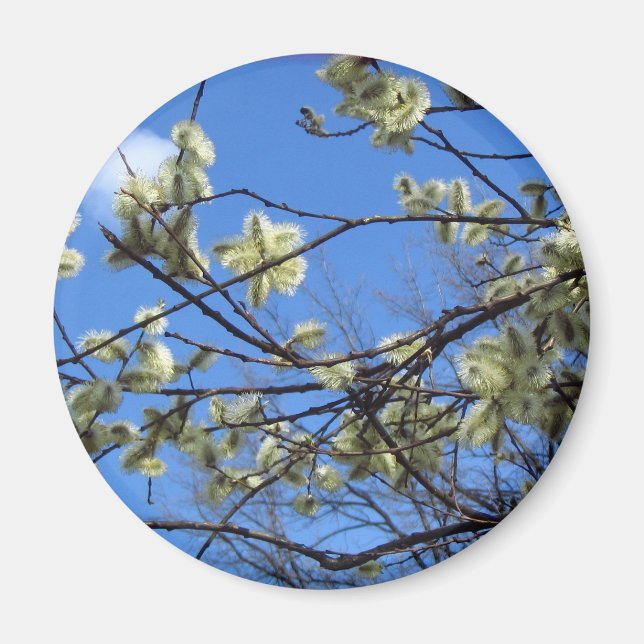 Vår Magnet (Framsidan)