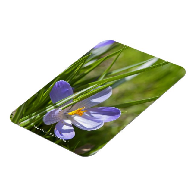 Vår Magnet (Vänstra Sidan)