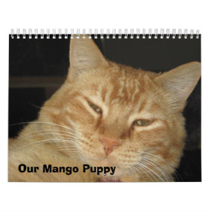 Vår mangovalp kalender
