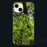 Vår Maple Löv Natature<br><div class="desc">Det är vår tid när perfekt grönt löv börjar på träd - inga bitor eller sjukdomar i insekten! Här är ett foto av vår maple löv på träd. Kolla in vår butik om du vill ha fler foton från vår träd. Det här bild är också ett exempel på "Vår Maple...</div>